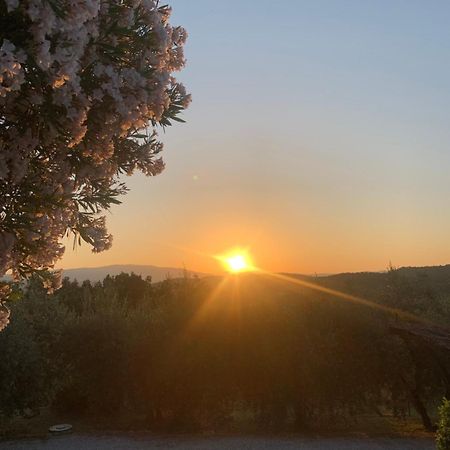 La Casina Del Poggio Lejlighed Ponticino Eksteriør billede