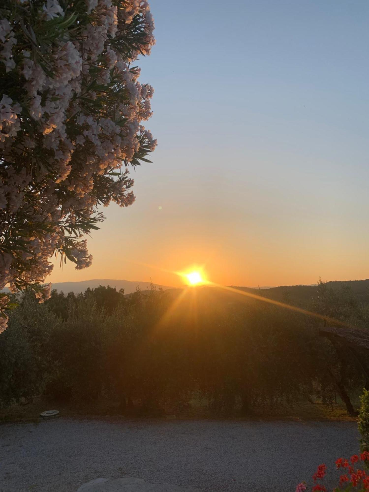 La Casina Del Poggio Lejlighed Ponticino Eksteriør billede